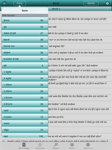 Punjabi Bible Offline for iPad screenshot 4