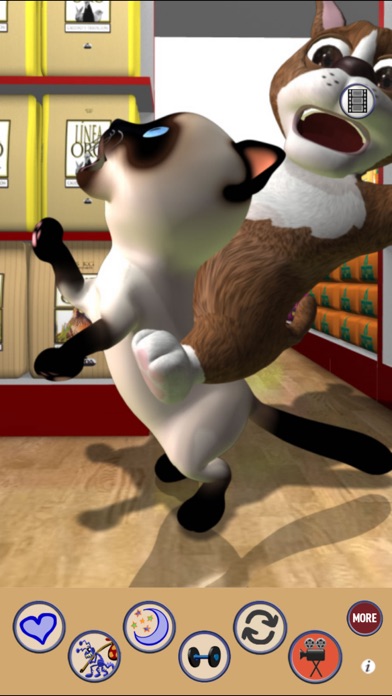 Screenshot #3 pour Duc Le Chien Qui Parle