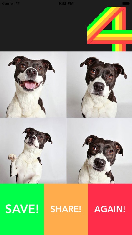 fourshot ~ the fun selfie photo booth