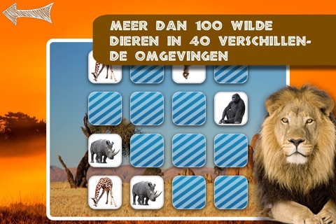 Free Memo Game Wild Animals Photo screenshot 4