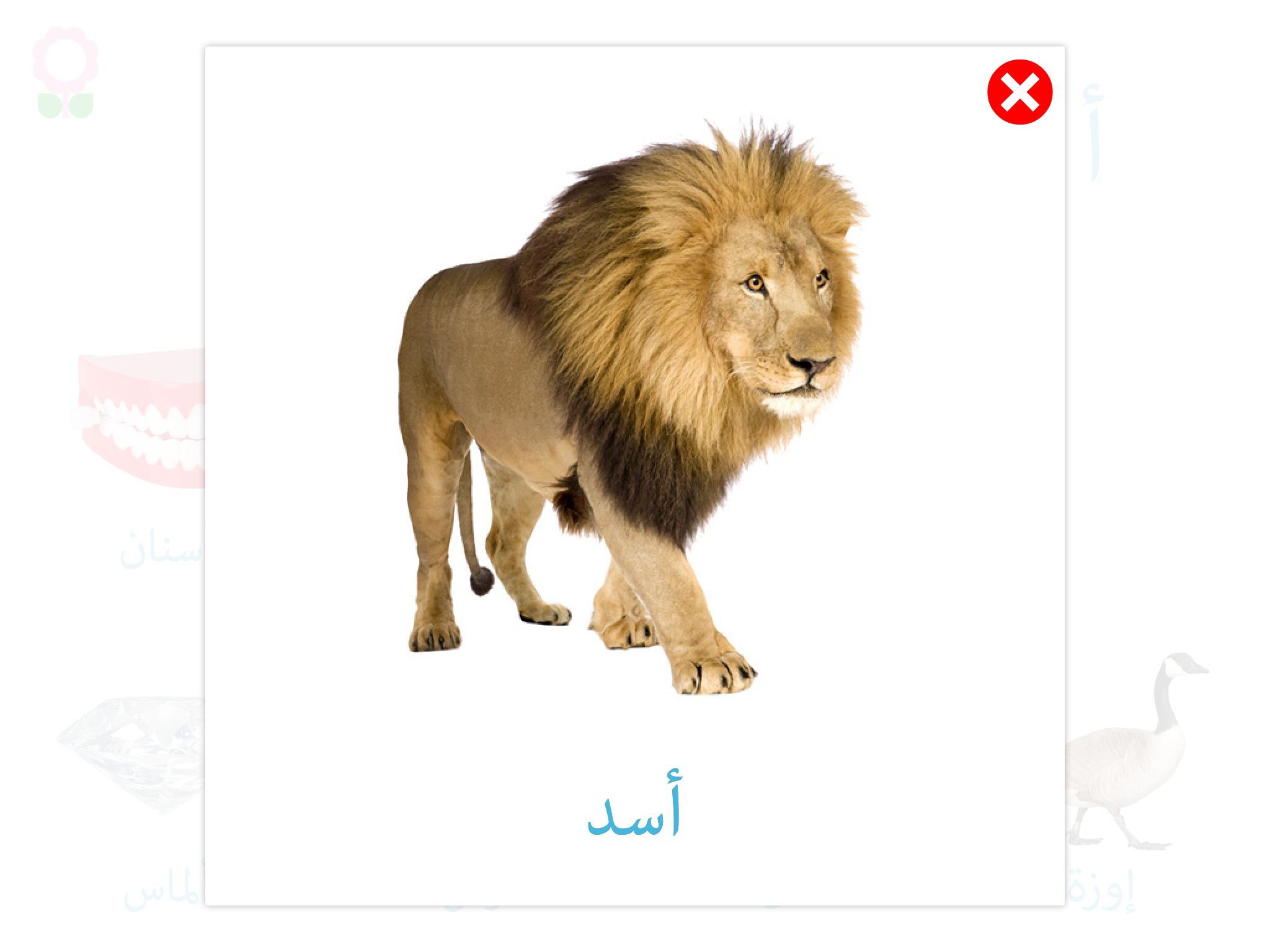 كتاب مفردات الحروف الأبجدية للأطفال screenshot 8