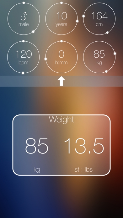 Heart Rate Based Calorie Calculator Screenshot
