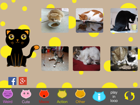 Screenshot #6 pour Les meilleurs chatons drôles