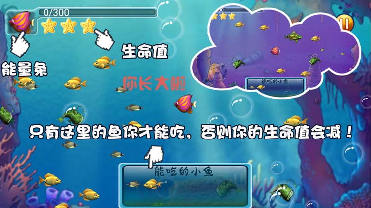 小鱼成长日记 - 好玩的全民大鱼吃小鱼游戏