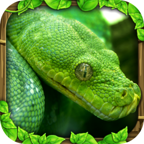 Snímky obrazovky (5) Snake Simulator