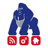 GorillaEasy by PIAS GmbH