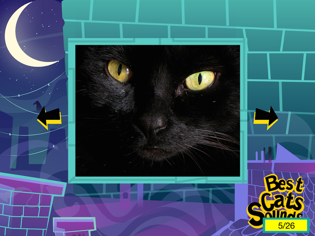 The Best Cats Sounds