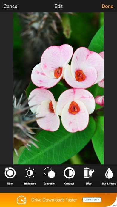 Screenshot #2 pour Photo Amp