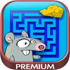 Mazes – logic games for children - Premium