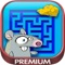 Version without ads