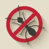 Home Pest Control 101: DIY Prevention Tips with Video Guide