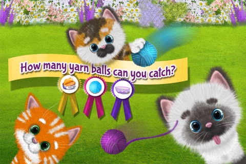 Cute Kitty Cats & Friends - Kittens Shop For Toys & Cat Food -  Pets Care Kids Game screenshot 4