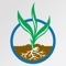 The Longnecker Fertilizers app allows customers to select the crop being grown and then view photos of the crop with various nutrient deficiencies to match what is being seen in the field