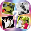 Guess the Word Quiz -  1 Word Quiz