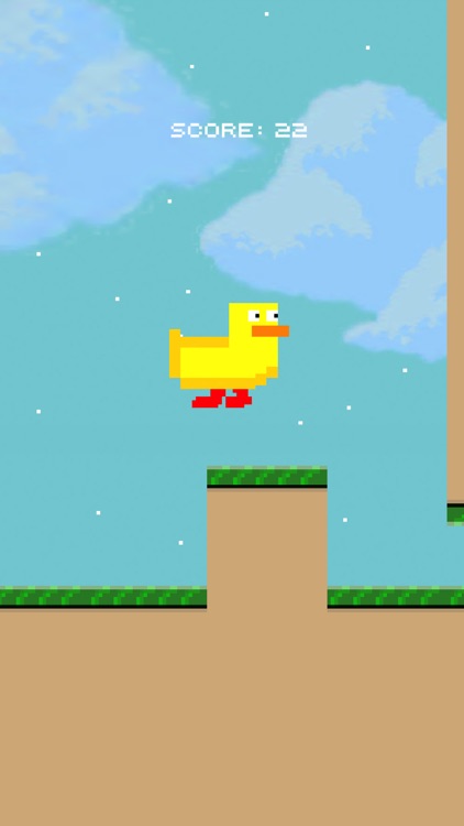 Duck Runs screenshot-3