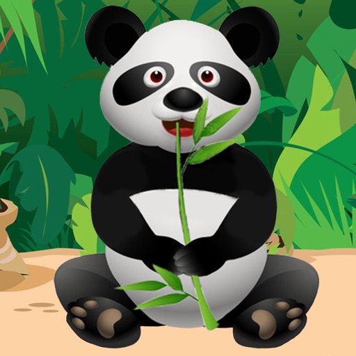 Panda Care iOS App