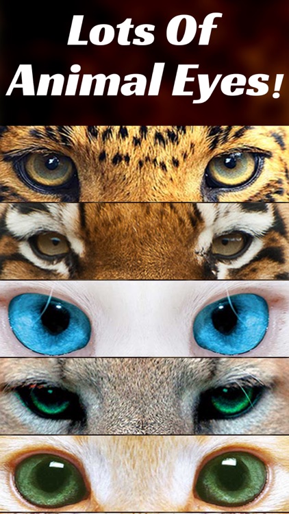 Animal Eyes Maker : Blend & Morph Into Funny Face With Tiger Eyes & Cats Eye