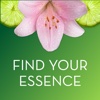 Find Your Essence