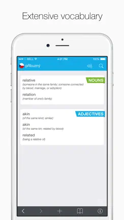 Czech – English Dictionary iPhone image 2