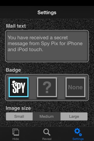 Spy Pix screenshot 4