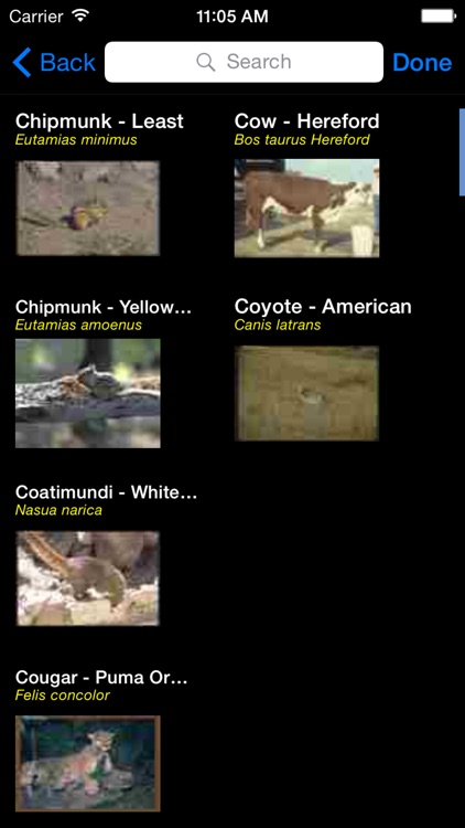 Mammals of North, Central & South America - A Mammal App