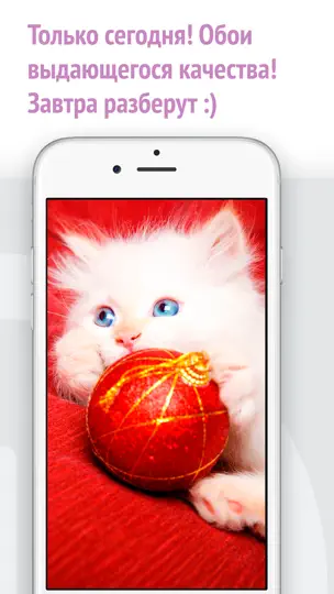 Скриншот Найди кота! на iPhone 3