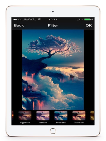 صانع ثيمات الصور iPad screenshot 5 - Photo & Video app