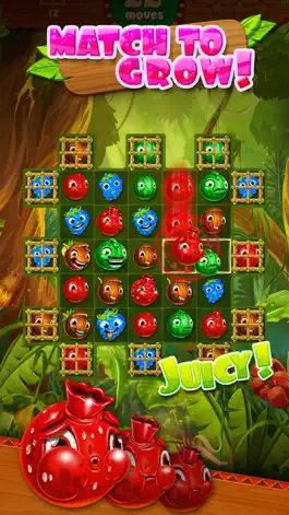 Game screenshot Jungle Jam - Juicy Fruit Match-3 Game mod apk