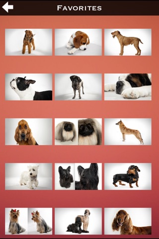 Dogs Info Pro screenshot 3