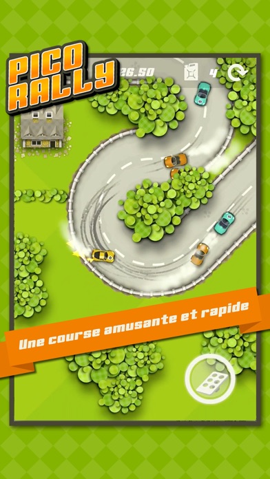 Screenshot #2 pour Pico Rally