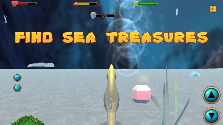 Sea Horse Simulator 3D