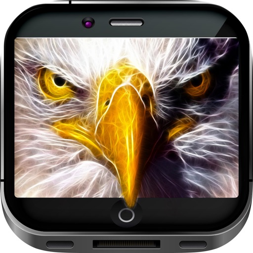 Eagles Art Gallery HD – Artwork Wallpapers , Themes and Studio Backgrounds icon