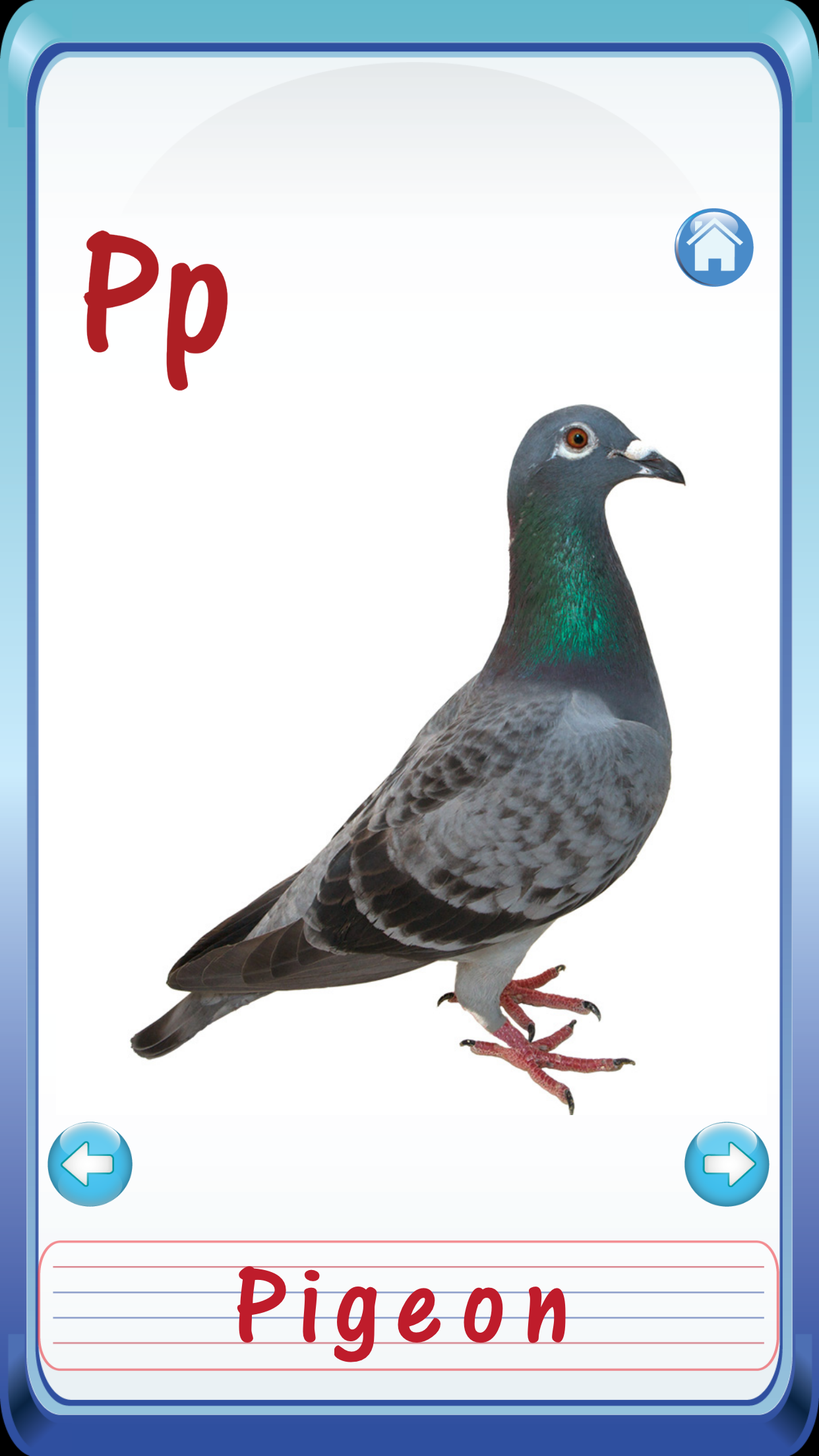 Preschool Kindergarten Kids English ABC Alphabets & Number Flash Cards screenshot 3