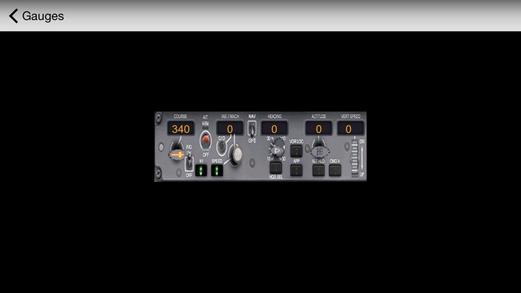 B737 Interactive Cockpit for FSX screenshot-4