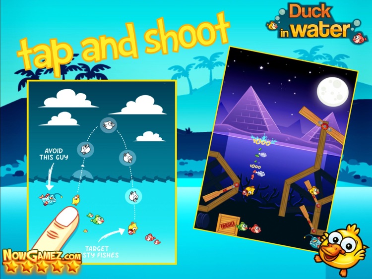 Duck in Water HD - Funny Games a Free Skill Puzzle for Kids