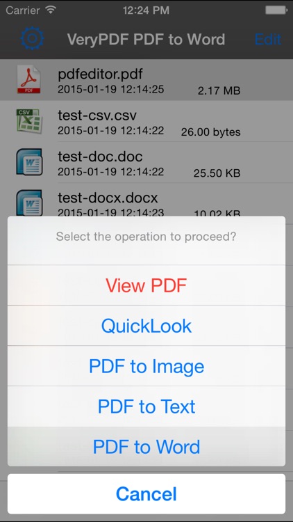 VeryPDF PDF to Word screenshot-4