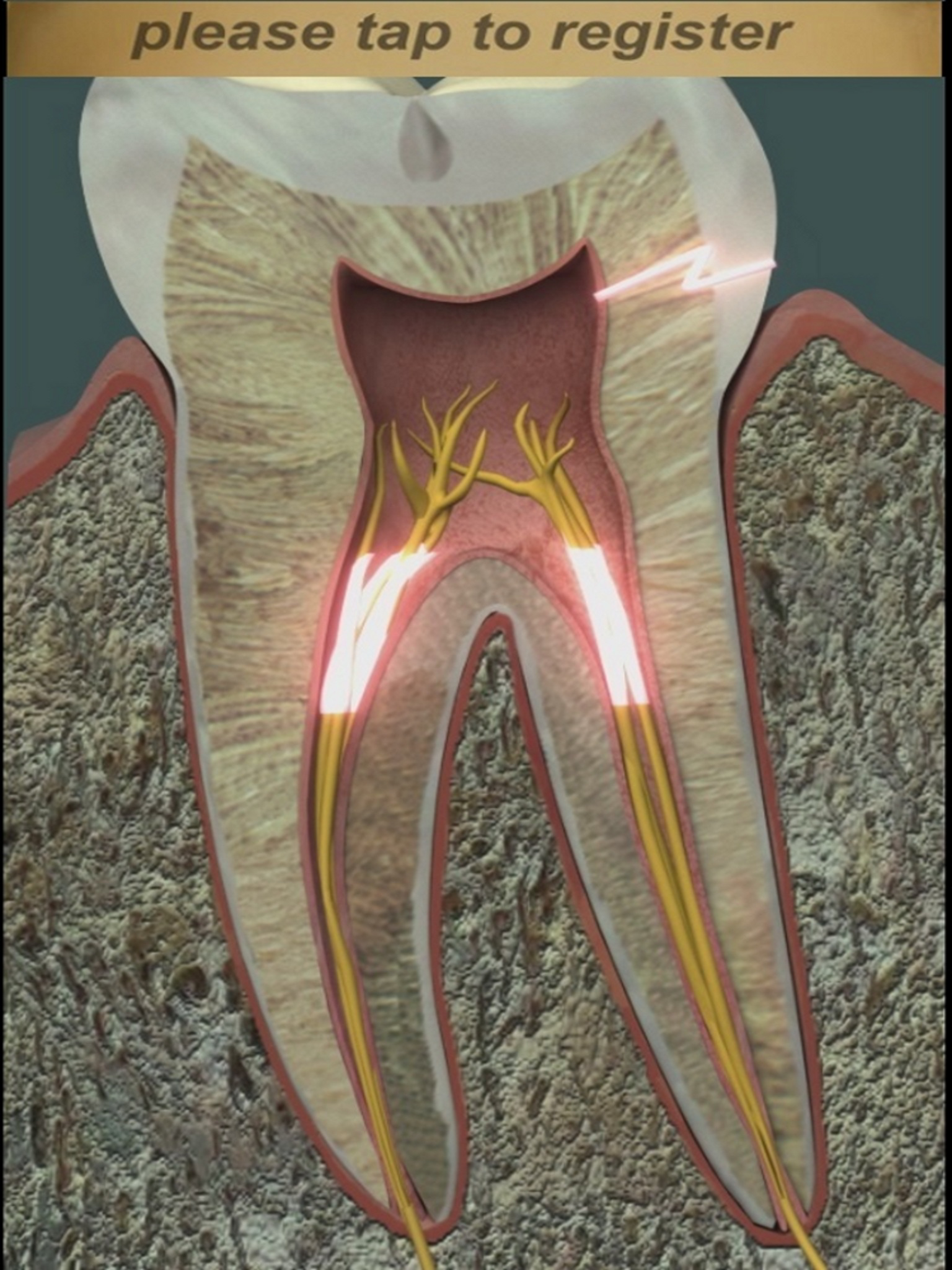 Dental Pain Lite screenshot 7