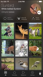 Animal Explorer Free: Sounds and Photos screenshot #1 for iPhone