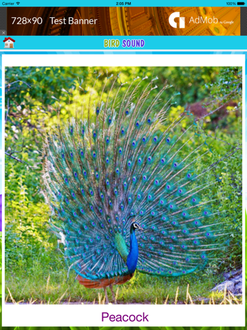 Screenshot #6 pour Best animal sound for kids