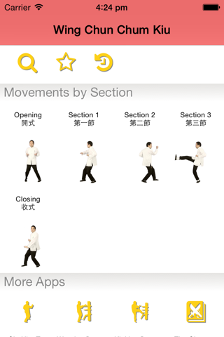 Wing Chun Chum Kiu Form screenshot 3
