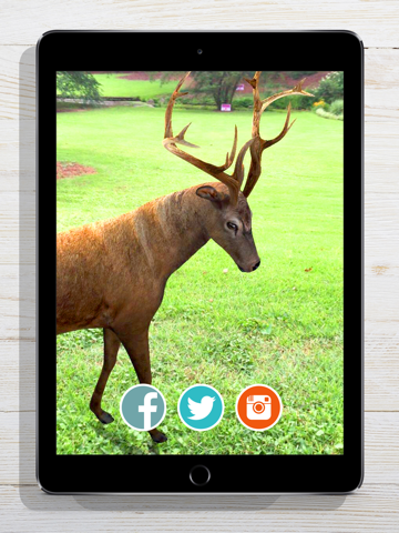 Screenshot #6 pour ZooKazam Free