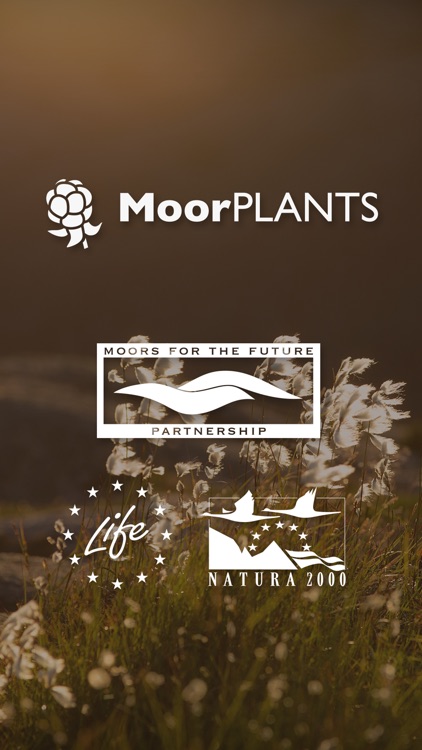 MoorPLANTS