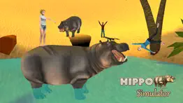 hippo simulator problems & solutions and troubleshooting guide - 2