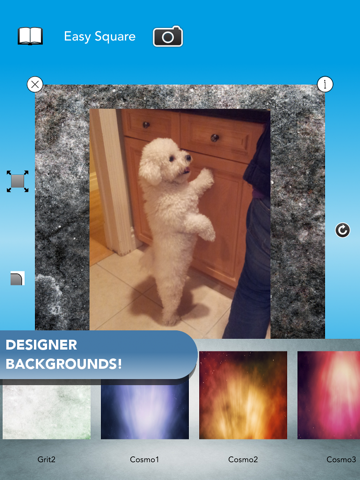 Screenshot #5 pour Easy Square - Post Entire Photos On Instagram With No Crop