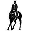 Dressage Memoriser