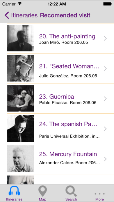 Reina Sofia Museum - Madrid Screenshot