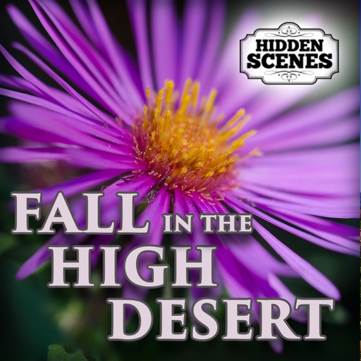 Hidden Scenes - Fall in the High Desert iOS App