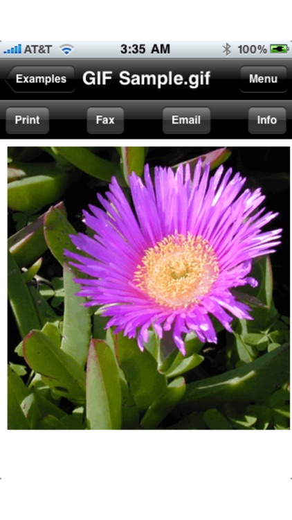Document Downloader (Print Fax Mail and Postcards) screenshot-3