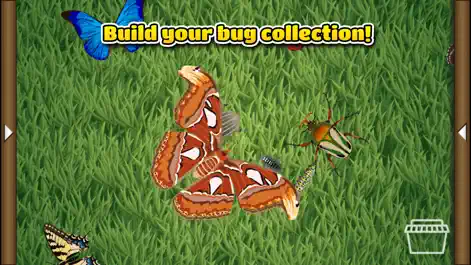 Fun Bugs - Education App | MWM