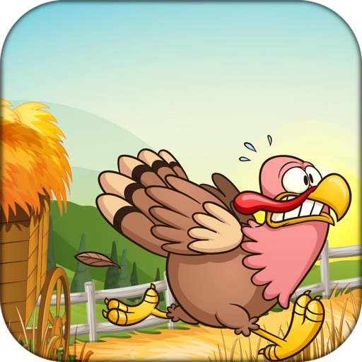 Run Chicken Run - Chicken Shooter Game icon